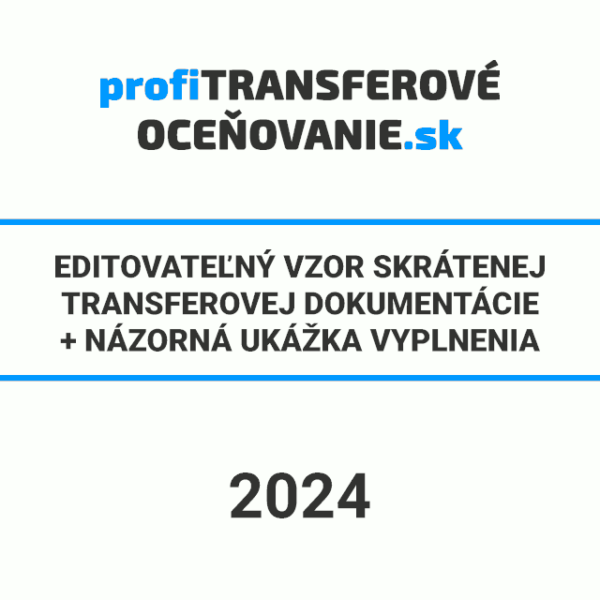 vzor skrátenej transferovej dokumentácie za rok 2024